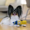 Jouet en peluche pour chien - Big Ben 🫖 - Pet PLAY