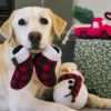 Jouet en peluche pour chien - Bonhomme de Neige ⛄ - Pet PLAY