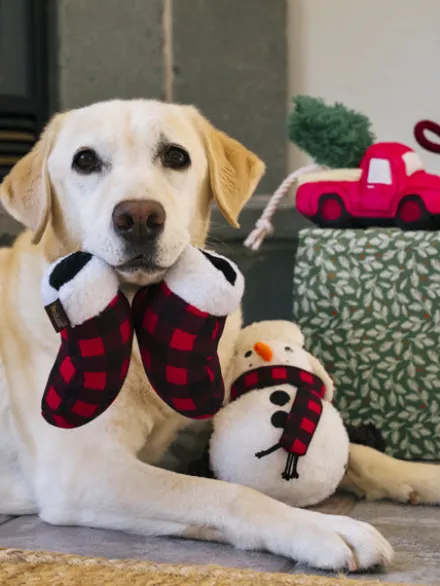 Jouet en peluche pour chien - Bonhomme de Neige ⛄ - Pet PLAY