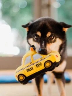 Jouet en peluche pour chien - Canine Commute - Taxi New Yorkais - Pet PLAY