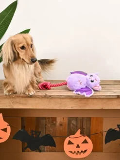 Jouet en peluche pour chien - Chauve souris 🦇 - HugSmart