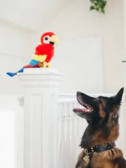 Jouet en peluche pour chien - Fetching Flock - Perroquet - Pet PLAY