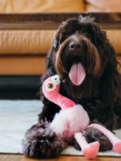Jouet en peluche pour chien - Fetching Flock - Flamant rose - Pet PLAY