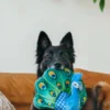 Jouet en peluche pour chien - Fetching Flock - Paon 🦚 - Pet PLAY