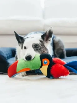 Jouet en peluche pour chien - Fetching Flock - Toucan - Pet PLAY