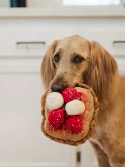 Jouet en peluche pour chien - French Toast - Pet PLAY x IHOP
