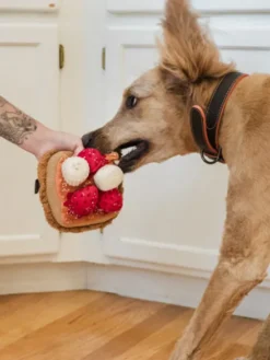 Jouet en peluche pour chien - French Toast - Pet PLAY x IHOP