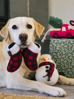 Jouet en peluche pour chien - Gants d'hiver 🧤 - Home for the Holidays Pet PLAY