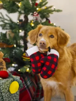 Jouet en peluche pour chien - Gants d'hiver 🧤 - Home for the Holidays Pet PLAY