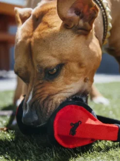 Jouet en peluche pour chien - Globetrotter - Casque audio - Pet PLAY