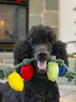 Jouet en peluche pour chien - Guirlande de Noël 🎄 - Pet PLAY
