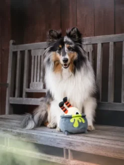 Jouet en peluche pour chien - Howling Haunts - Potion d'Halloween - Pet PLAY