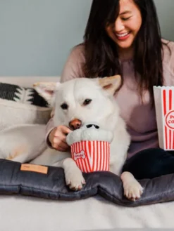 Jouet en peluche pour chien - Hollywoof Cinema - Poppin’ Pupcorn - Pet PLAY