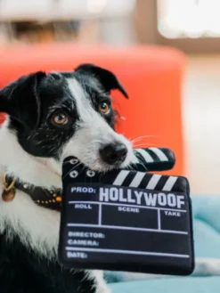 Jouet en peluche pour chien - Hollywoof Cinema - Clap de Cinéma - Pet PLAY