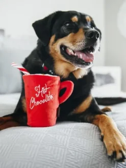 Jouet en peluche pour chien - Holiday Classic - Chocolat chaud - Pet PLAY