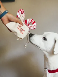 Jouet en peluche pour chien - Holiday Classic - 3 Sucres d'Orge - Pet PLAY