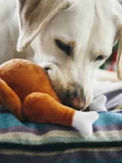 Jouet en peluche pour chien - Holiday Classic - Dinde de Noel - Pet PLAY
