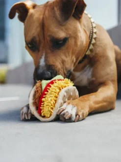 Jouet en peluche pour chien - International Classic - Tacos - Pet PLAY