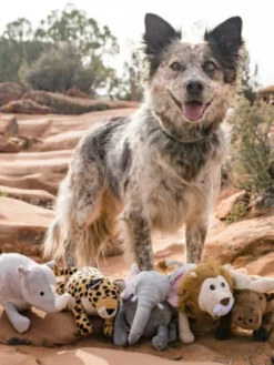 Jouet en peluche pour chien - Leopard 🐆 - Pet PLAY