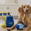 Jouet en peluche pour chien - Paw-nukkah 🕎 Dreidel - Pet PLAY