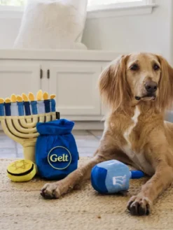 Jouet en peluche pour chien - Paw-nukkah 🕎 Dreidel - Pet PLAY