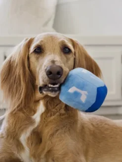 Jouet en peluche pour chien - Paw-nukkah 🕎 Dreidel - Pet PLAY