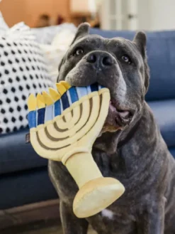 Jouet en peluche pour chien - Paw-nukkah 🕎 Menorah - Pet PLAY