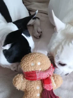 Jouet en peluche pour chien - Pain Epice 🎁 - Lambwolf Collective