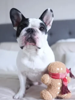 Jouet en peluche pour chien - Pain Epice 🎁 - Lambwolf Collective