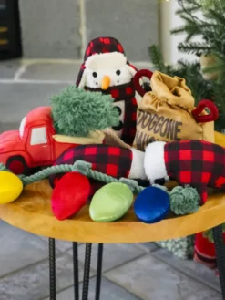 Jouet en peluche pour chien - Pickup de Noël 🎁 - Pet PLAY
