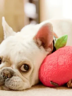 Jouet en peluche pour chien - Pomme 🍎 - Pet PLAY