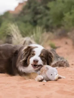 Jouet en peluche pour chien - Rhinocéros🦏 - Pet PLAY