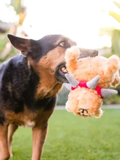 Jouet en peluche pour chien - Spiked by P.L.A.Y Spiff le chien - Pet PLAY