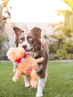Jouet en peluche pour chien - Spiked by P.L.A.Y Spiff le chien - Pet PLAY