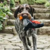 Jouet en peluche pour chien - Willow's Mythical - Dragon - Pet PLAY