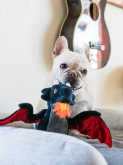 Jouet en peluche pour chien - Willow's Mythical - Dragon - Pet PLAY