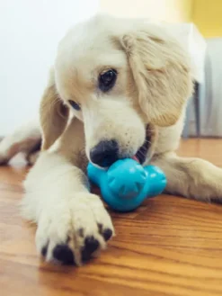 Jouet à garnir pour chien - Tux Zogoflex Bleu - Eco-friendly