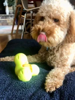 Jouet à garnir pour chien - Tux Zogoflex Vert - Eco-friendly