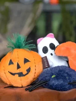 Jouet Halloween pour chat - Citrouille et Fantôme - Herbe à chat biologique - Pet PLAY