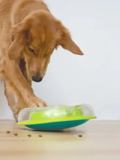 Jouet interactif distributeur de friandises pour chien - Wobble Bowl