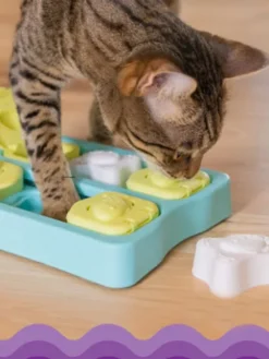 Jouet interactif pour Chat - Kitty cubes - Catstages Nina Ottosson