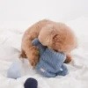 Jouet interactif pour chien - Arrosoir - Lambwolf collective