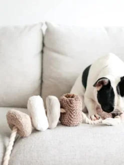 Jouet interactif pour chien - Blocs Nosework - Nude