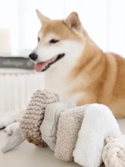 Jouet interactif pour chien - Blocs Nosework - Nude