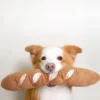 Jouet interactif pour chien - Baguette