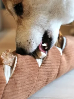 Jouet interactif pour chien - Baguette