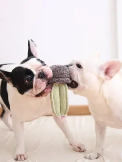 Jouet interactif pour chien - Cactus 🌵 - Lambwolf Collective
