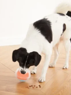 Jouet interactif pour chien - Dog Rumble Puzzle - Niveau 1