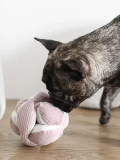 Jouet interactif pour chien - Monti - Rose