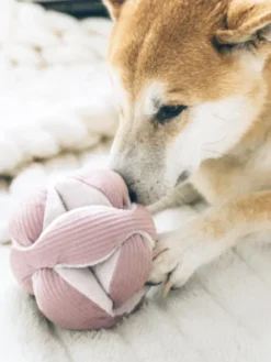 Jouet interactif pour chien - Monti - Rose